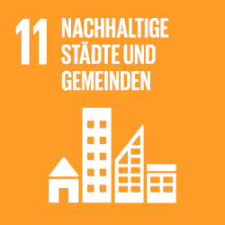 sdg 11